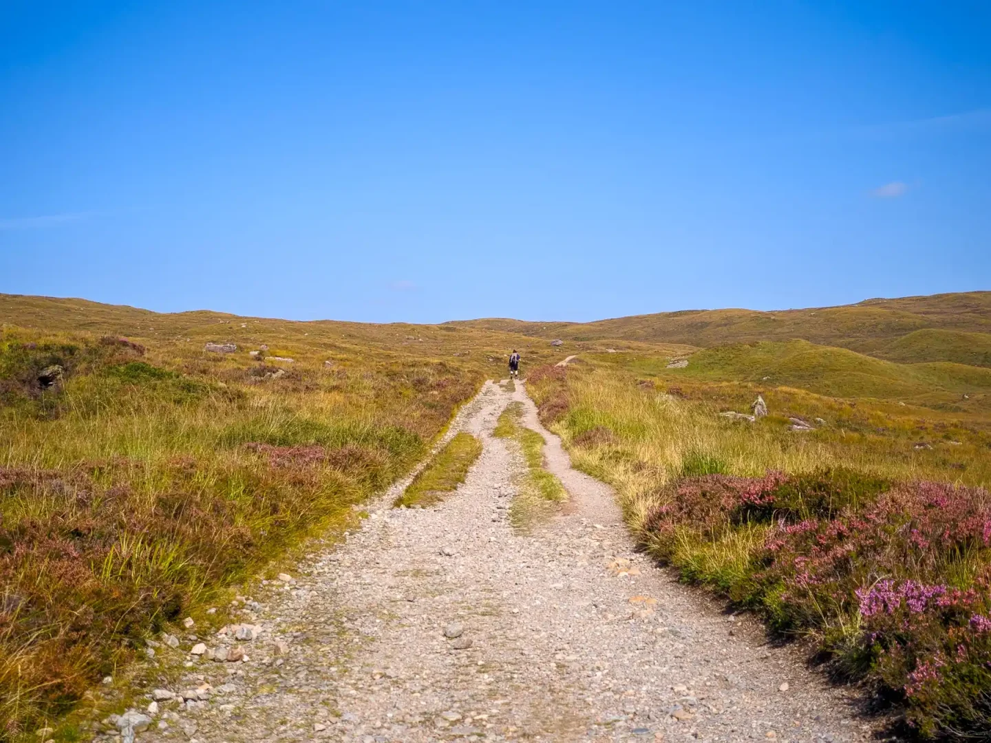 A figure in the distance hikes along a straight, broad track edged with heather. The landscape is empty, like the cloudless summer sky.