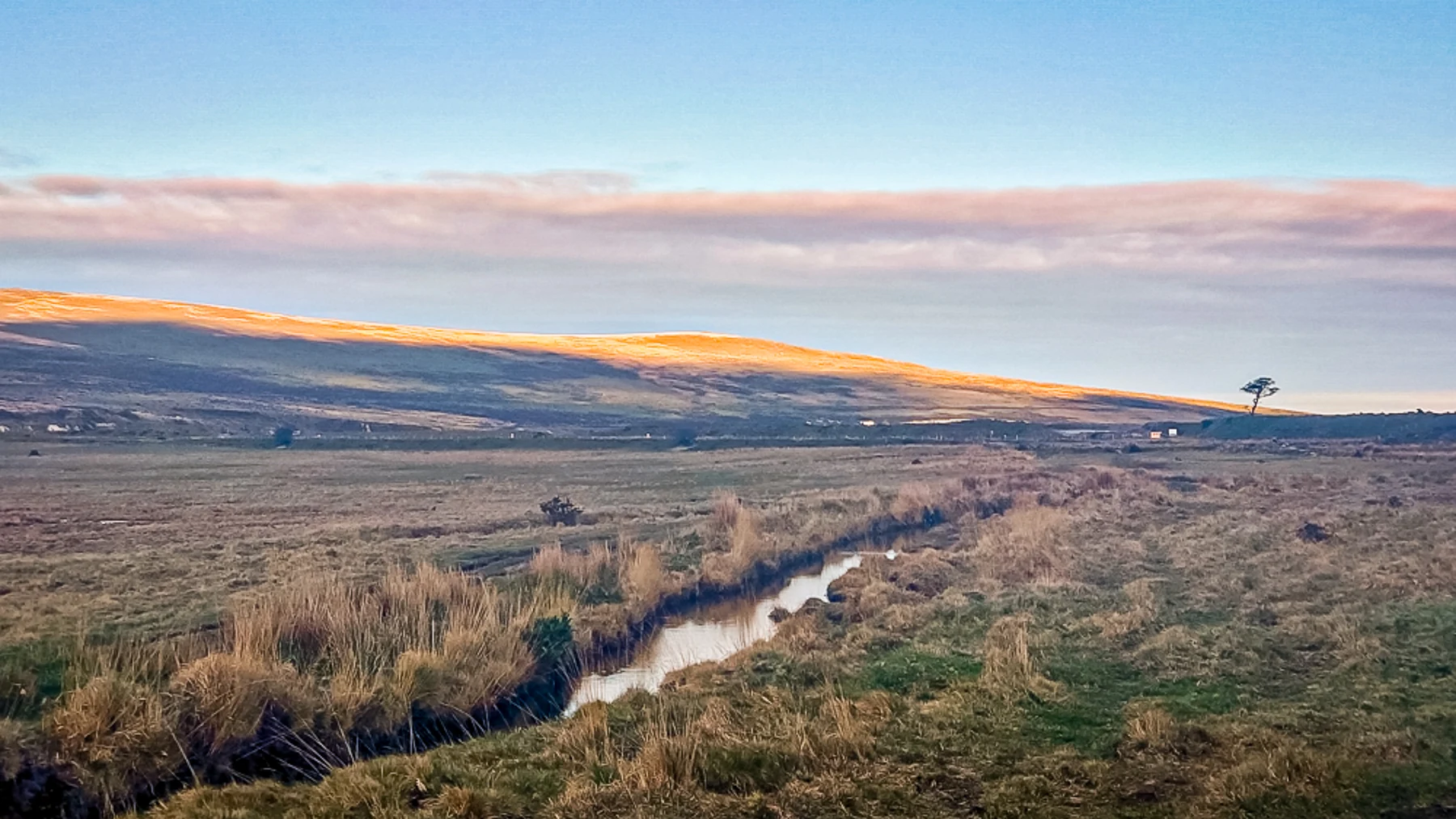 Low sunlight lights up the hills of an open moor, with a stream leading to a lonely tree in the distance