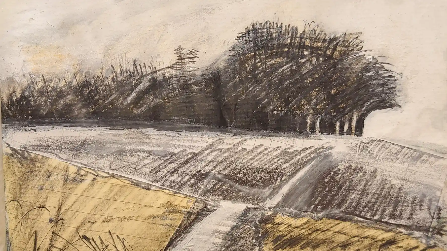 A collage and pencil drawing of a stand of trees on top of a hill