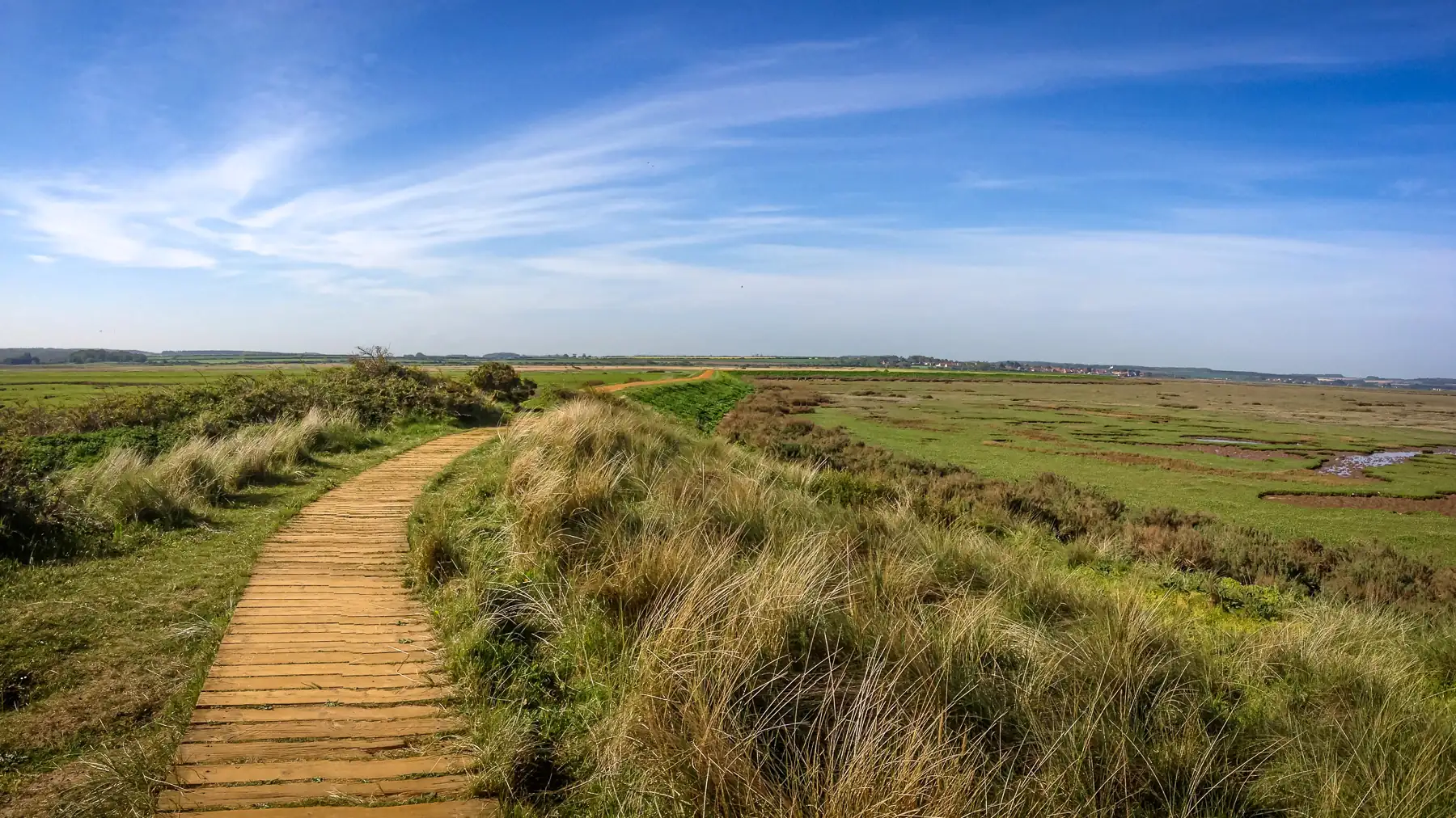 A raised wooden path leads across a vast grassy marsh under a huge blue sky